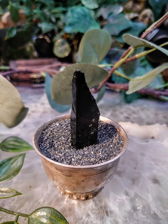 2" Glossy Black Aegirine Crystal Rod from Malawi, Africa for Crystal Healing / 13.61g / Home and Altar Decor / Negative Protection