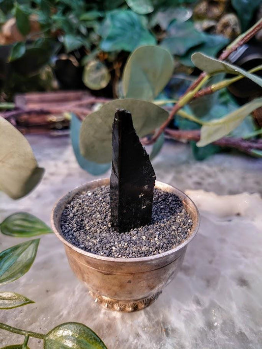 2" Glossy Black Aegirine Crystal Rod from Malawi, Africa for Crystal Healing / 13.61g / Home and Altar Decor / Negative Protection