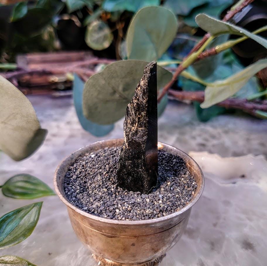 2" Glossy Black Aegirine Crystal Rod from Malawi, Africa for Crystal Healing / 13.61g / Home and Altar Decor / Negative Protection
