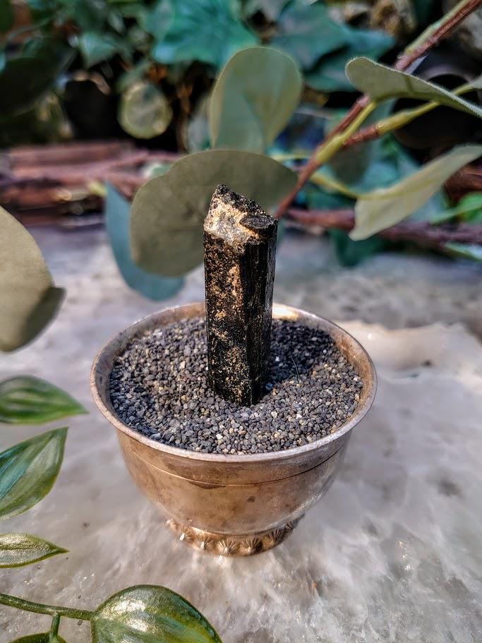 1.75" Glossy Black Aegirine Crystal Rod from Malawi, Africa for Crystal Healing / 15.37g / Home & Altar Decor