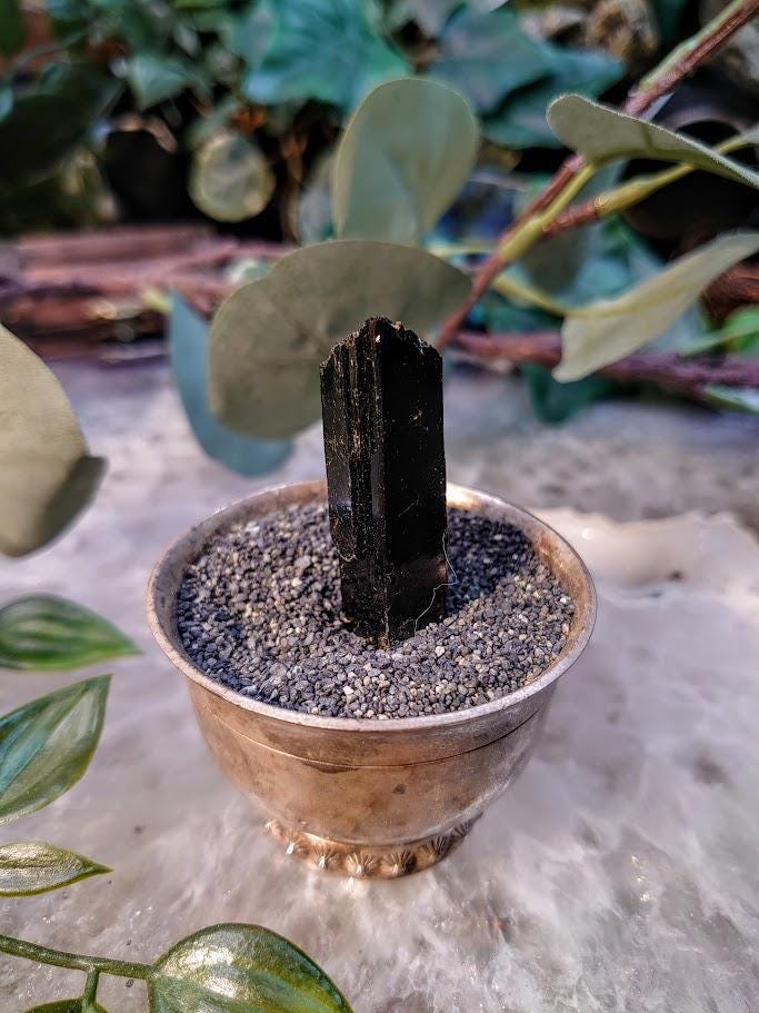 1.75" Glossy Black Aegirine Crystal Rod from Malawi, Africa for Crystal Healing / 15.37g / Home & Altar Decor