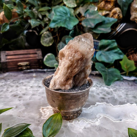 Natural Kundalini Congo Citrine Cluster for Altar and Home Decor / 63.43g / Energy Work / Crystal Healing / Reiki