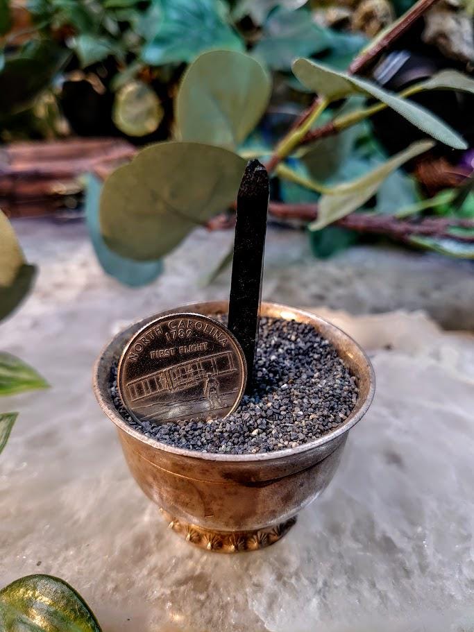 2" Glossy Black Aegirine Crystal Rod from Malawi, Africa for Crystal Healing / 4.86g / Home and Altar Decor / Negative Protection