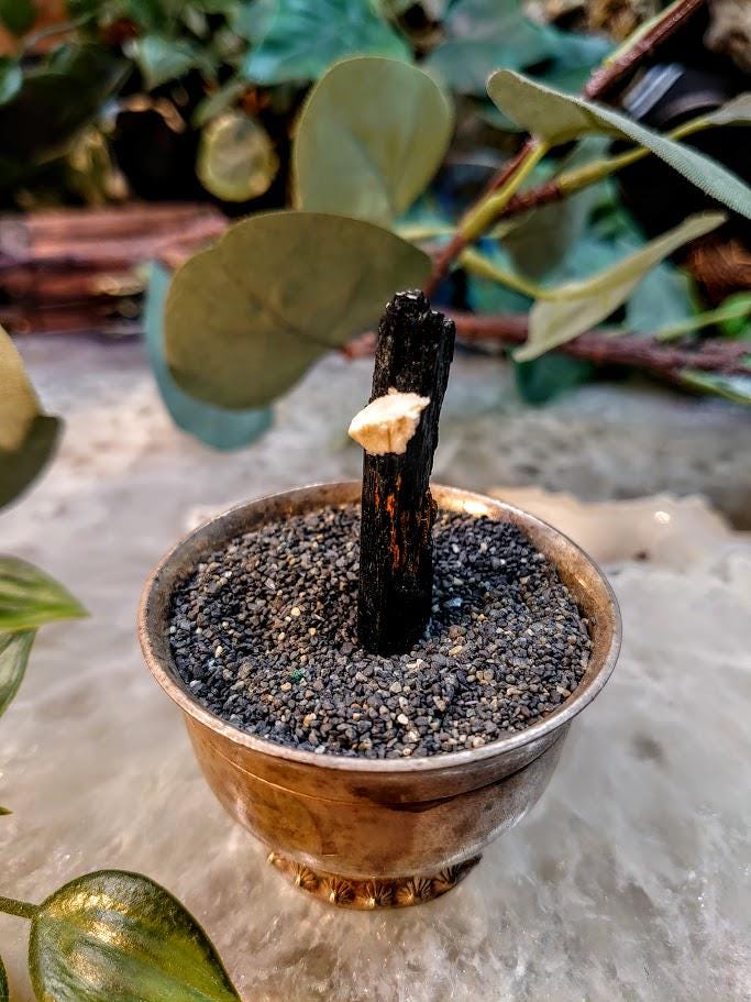 1.75" Glossy Black Aegirine Crystal Rod from Malawi, Africa for Crystal Healing / 8.24g / Home & Altar Decor