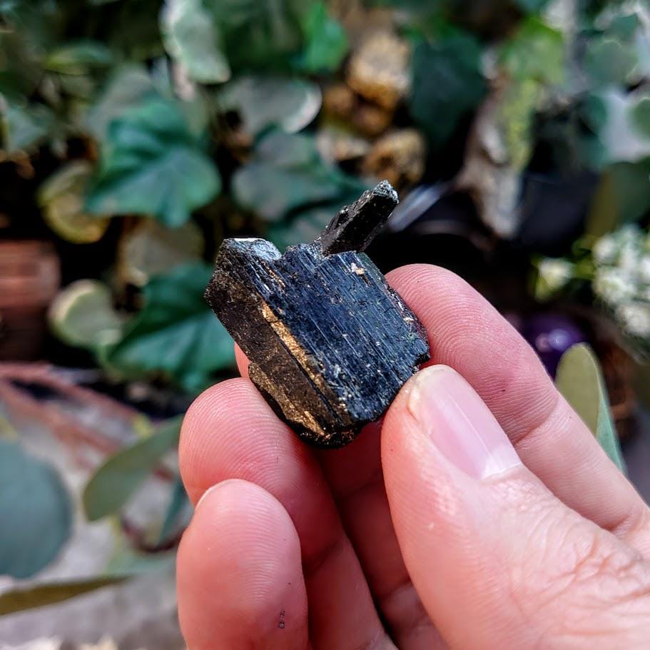 1" Glossy Black Aegirine Crystal from Malawi, Africa for Crystal Healing / 13.00g / Home & Altar Decor