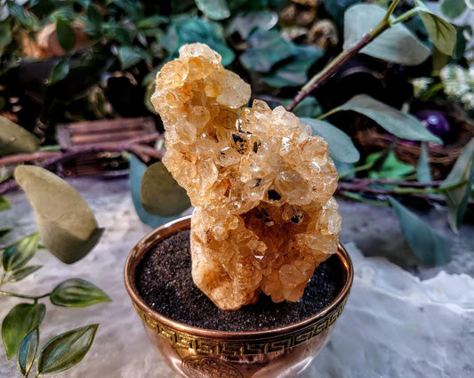Natural Limonite Golden Healer Quartz/Citrine Cluster on Limestone from Zambia, Africa for Crystal Healing / 197g / Reiki / Home Decor