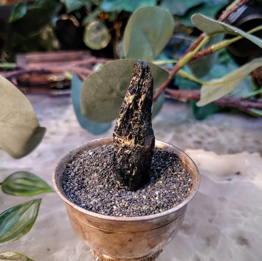 2" Glossy Black Aegirine Crystal Rod from Malawi, Africa for Crystal Healing / 13.61g / Home and Altar Decor / Negative Protection