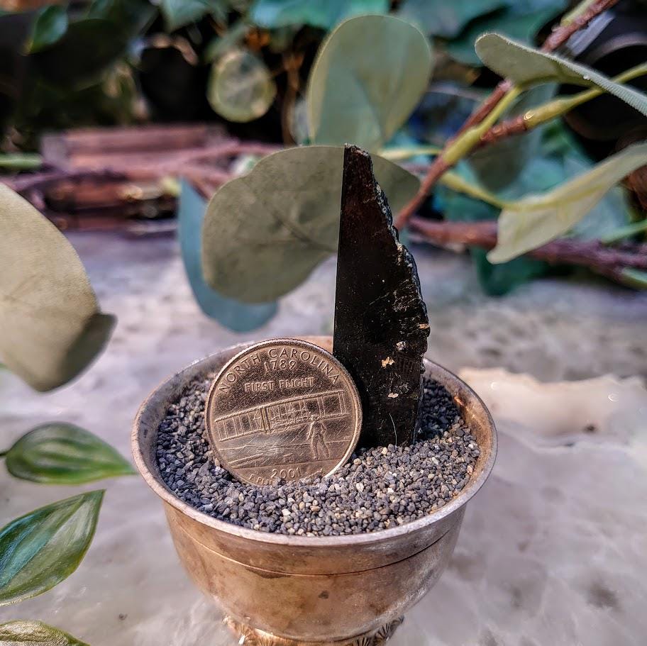 2" Glossy Black Aegirine Crystal Rod from Malawi, Africa for Crystal Healing / 13.61g / Home and Altar Decor / Negative Protection