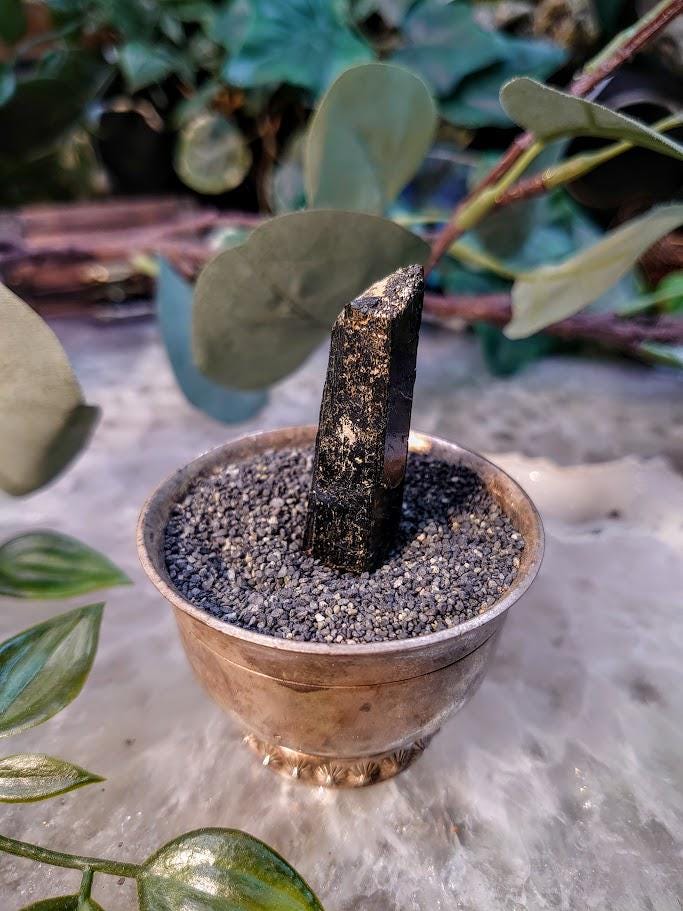 1.75" Glossy Black Aegirine Crystal Rod from Malawi, Africa for Crystal Healing / 15.37g / Home & Altar Decor