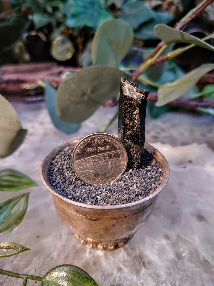 1.75" Glossy Black Aegirine Crystal Rod from Malawi, Africa for Crystal Healing / 15.37g / Home & Altar Decor