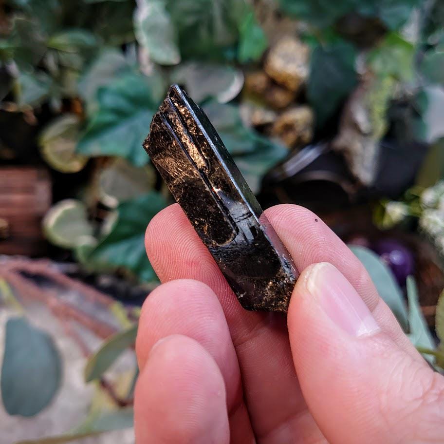 1.75" Glossy Black Aegirine Crystal Rod from Malawi, Africa for Crystal Healing / 15.37g / Home & Altar Decor